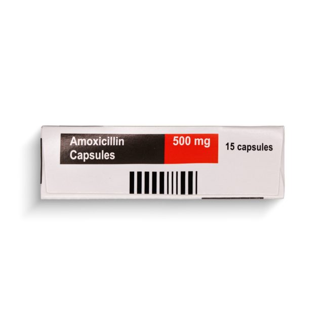 WhatsApp Image 2025-09-24 at 17.10.51